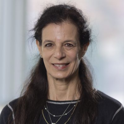 The Metabolic Switch in Development and Degeneration