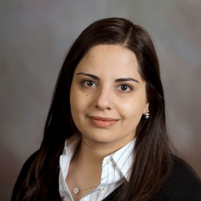 Bahareh Behkam, Ph.D.