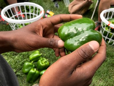 This is an image of a green bell in someone's hand.