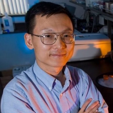 Liwu Li, Ph.D.
